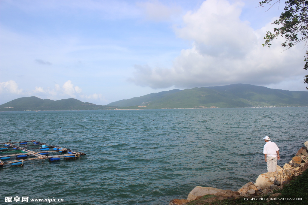 海洋 海边 看海