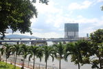 椰树海港
