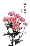 梅兰竹菊