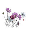 梅兰竹菊
