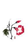 梅兰竹菊