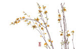 梅兰竹菊