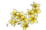 梅兰竹菊[