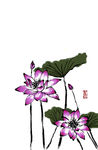 梅兰竹菊