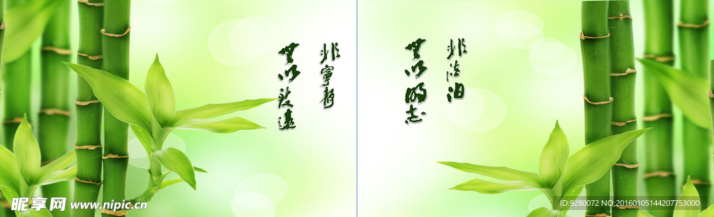 绿色背景 典雅  温馨 绿竹