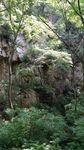 山林景色