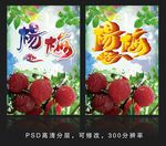 杨梅海报