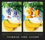 香蕉海报