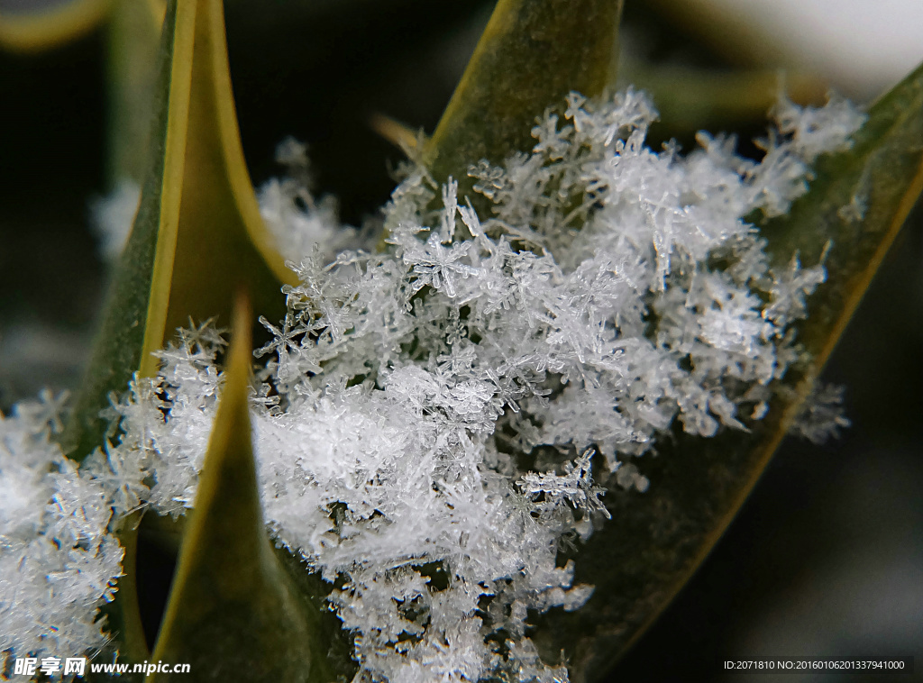 雪花