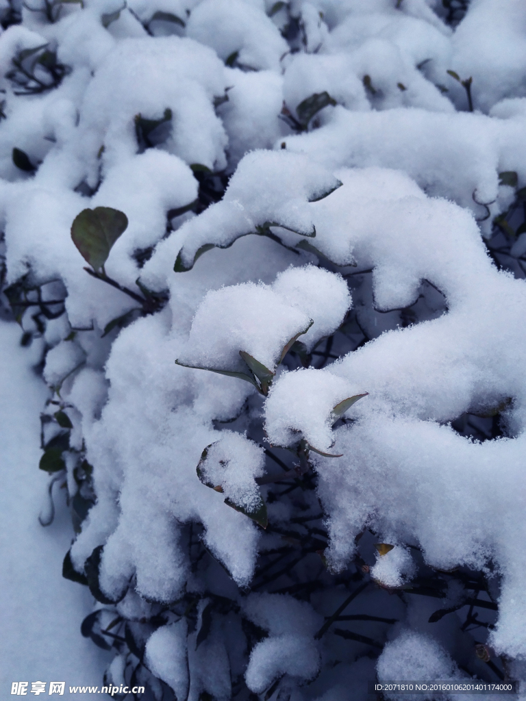 雪景