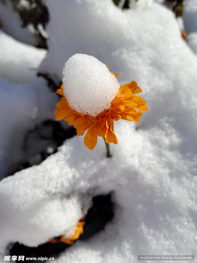 雪花