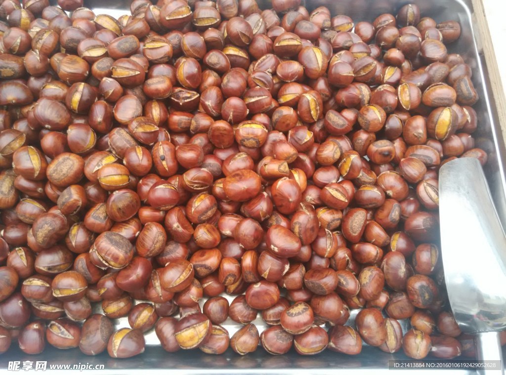 板栗