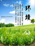 蓝天草地背景