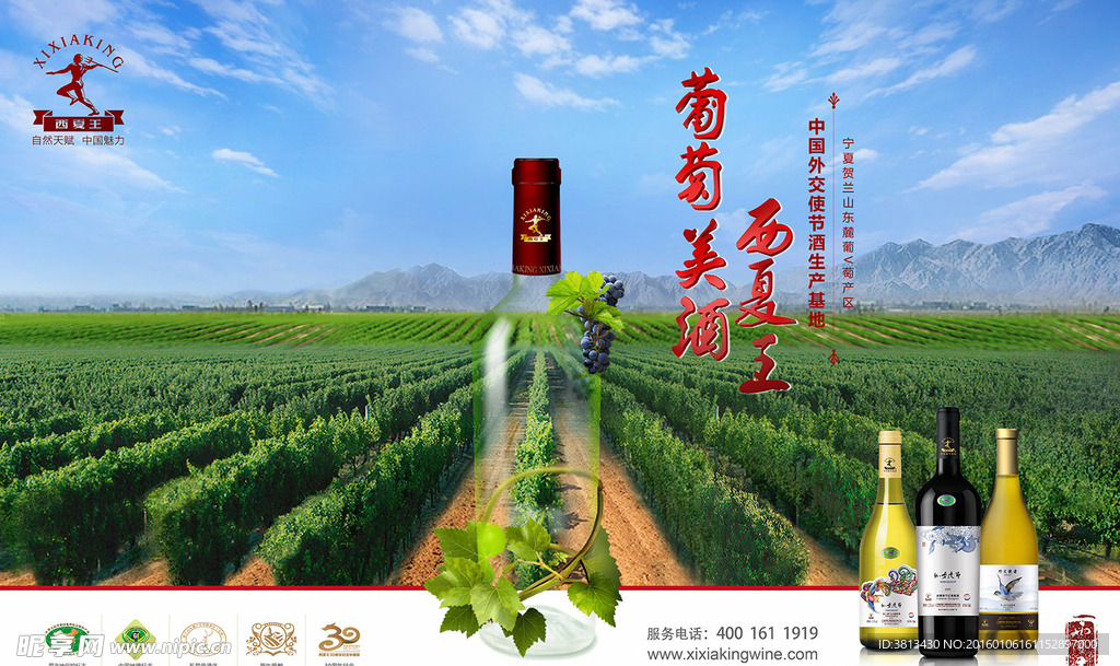 葡萄酒海报 葡萄园