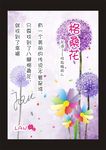 格桑花