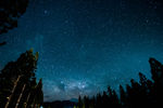 森林星空