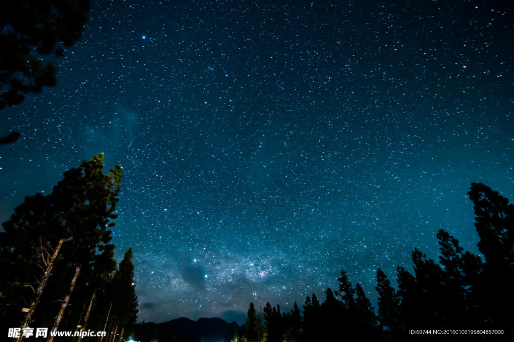 森林星空
