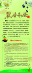 黑苦荞茶X展架