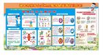 公共卫生健康教育宣传栏