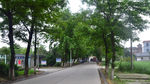 肖王村