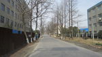 肖王村