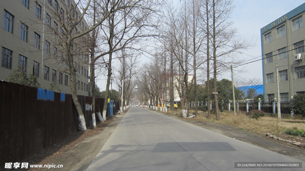 肖王村