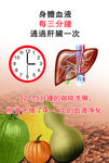 肝脏海报
