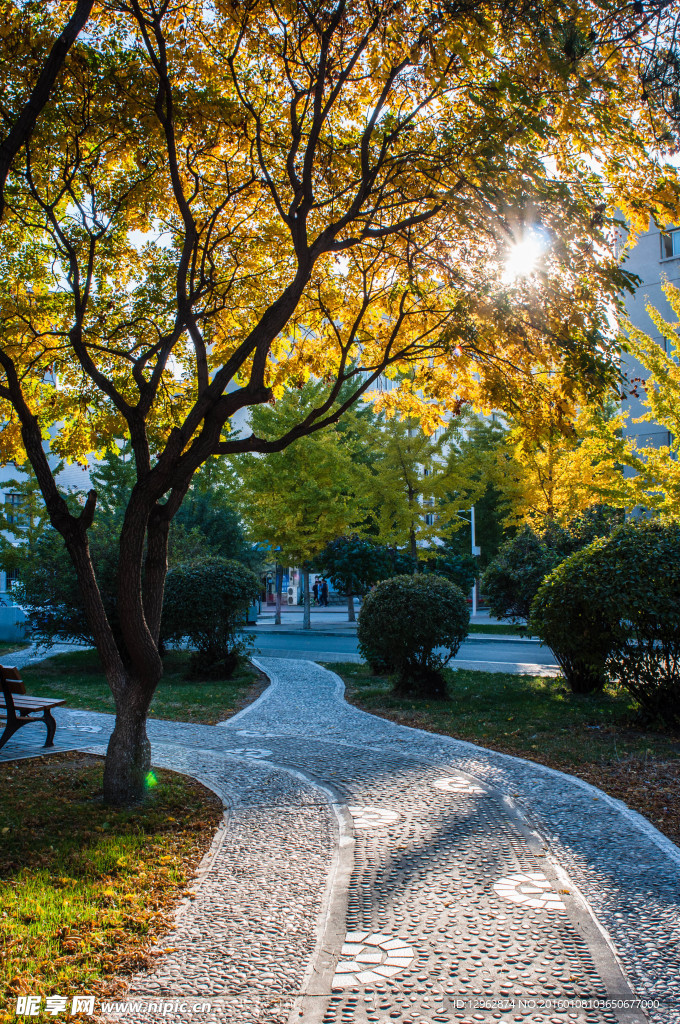 东北大学校园