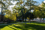 东北大学校园