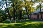东北大学校园