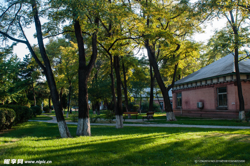 东北大学校园