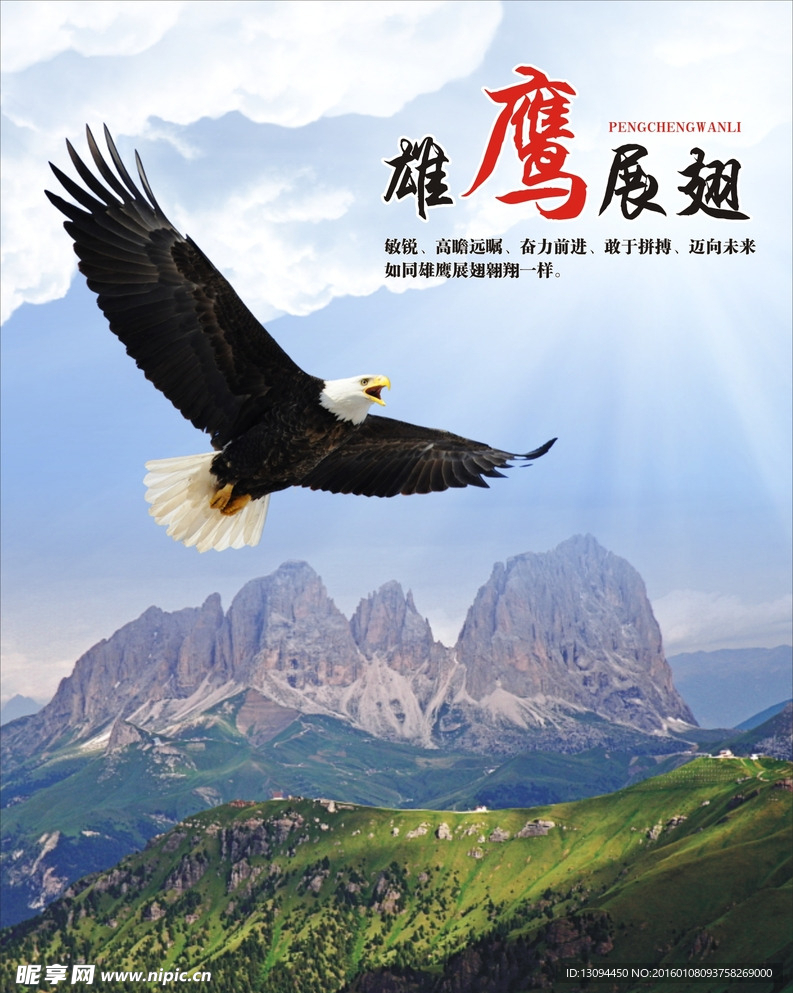 雄鹰展翅