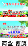 草莓  名片