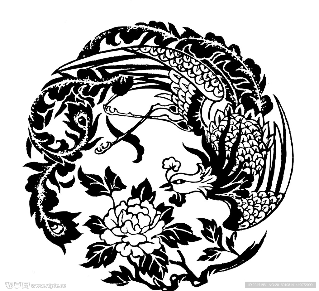 丹凤