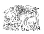 花开吉祥