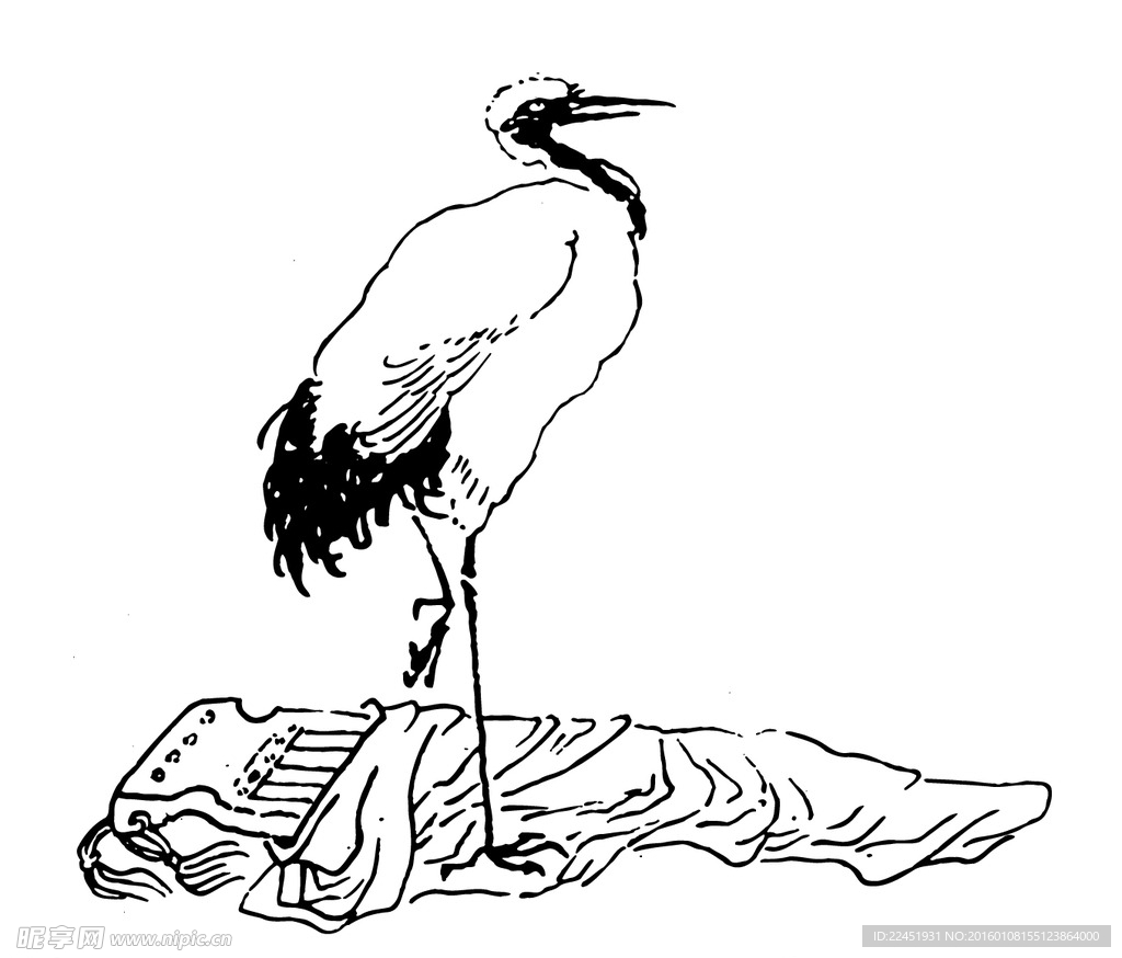 鹤 丹顶鹤