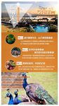 云南旅游广告