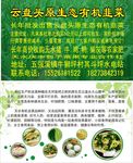 韭菜名片