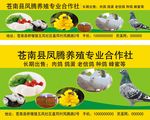养殖合作社