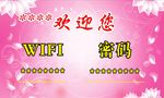WIFI无线网络