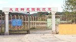 大连狮虎园