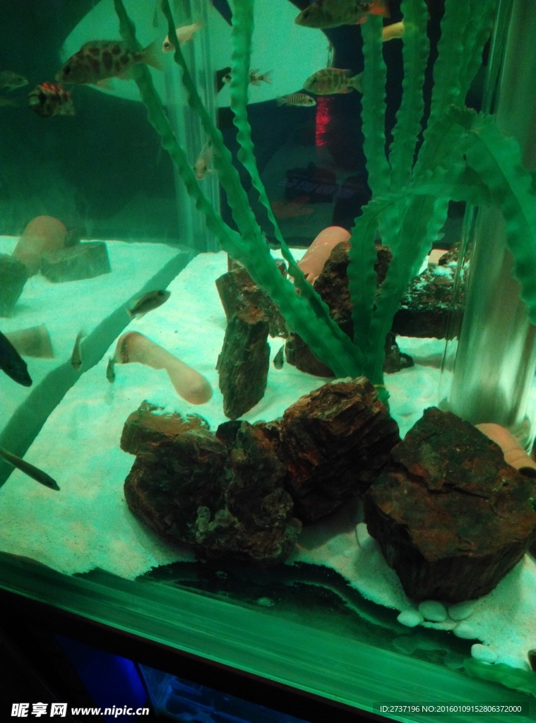 水族馆