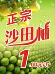 沙田柚