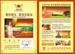 黄色高档房地产宣传页
