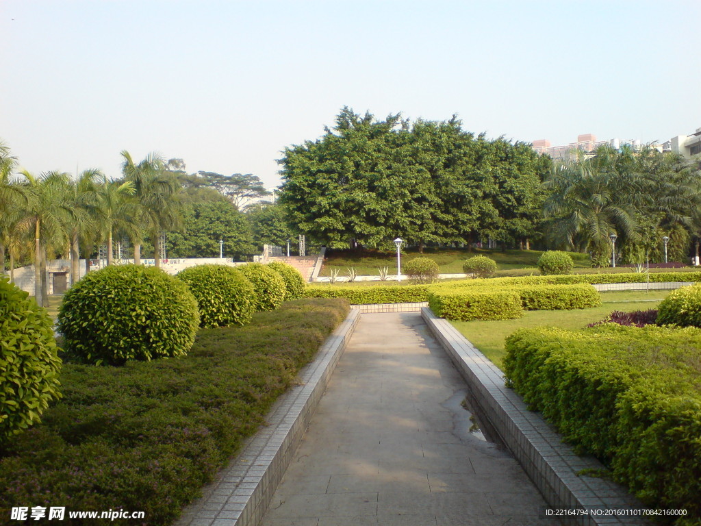 路边风景