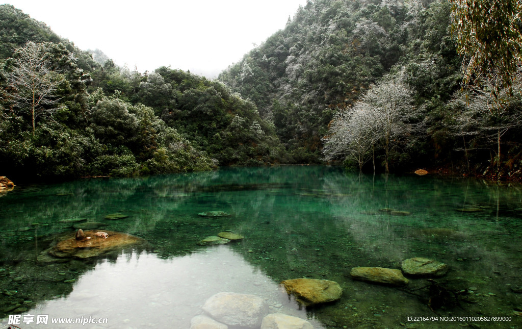 雪风景