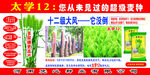 太学12麦种广告