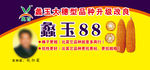 蠡玉88玉米种子