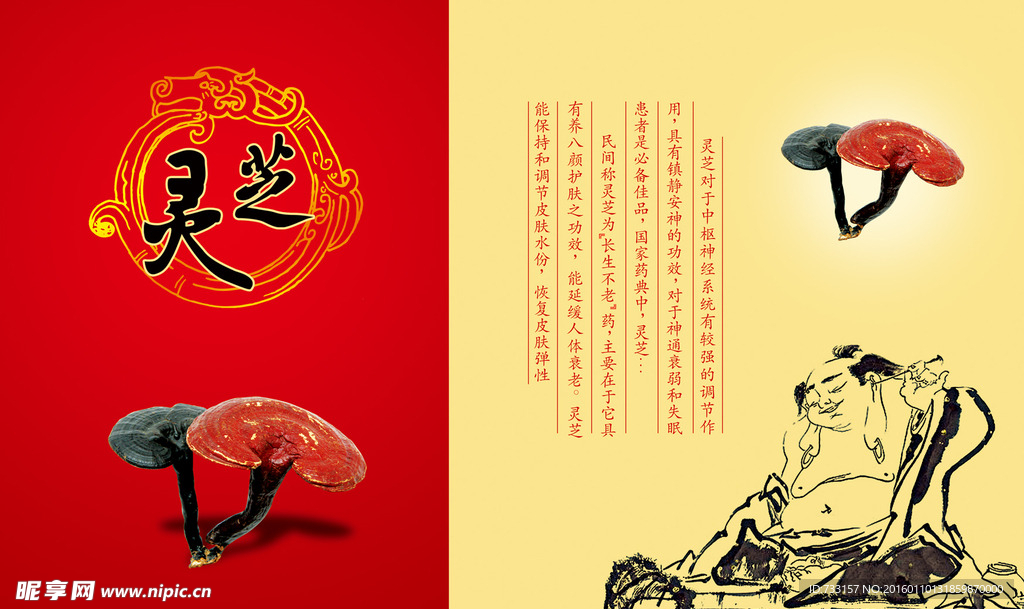 灵芝包装