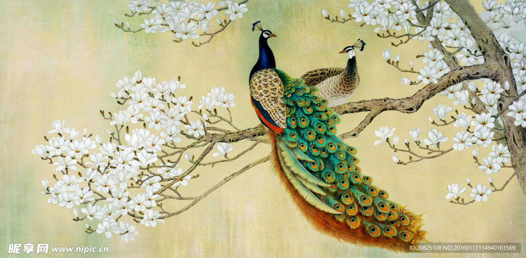 动物 花卉